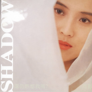 手机中文字幕AV在线
